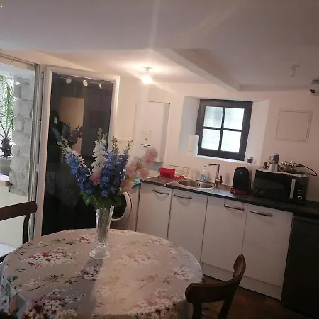 Aménagé Au Sous-sol Avec Coin Jardin Au Centre D Appartamento